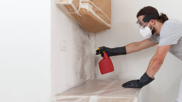Professional Crawl Space Mold Remediation technician working in Clinton, WA