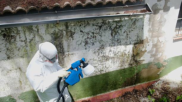 Top rated local Crawl Space Mold Remediation specialists in Clinton, WA